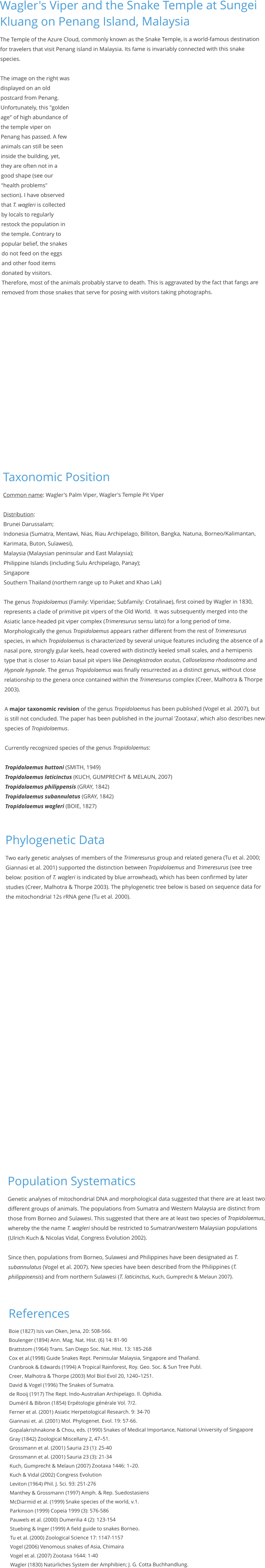 Wagler's Viper and the Snake Temple at Sungei Kluang on Penang Island, Malaysia The Temple of the Azure Cloud, commonly known as the Snake Temple, is a world-famous destination for travelers that visit Penang island in Malaysia. Its fame is invariably connected with this snake species.  The image on the right was displayed on an old postcard from Penang. Unfortunately, this "golden age" of high abundance of the temple viper on Penang has passed. A few animals can still be seen inside the building, yet, they are often not in a good shape (see our "health problems" section). I have observed that T. wagleri is collected by locals to regularly restock the population in the temple. Contrary to popular belief, the snakes do not feed on the eggs and other food items donated by visitors. Therefore, most of the animals probably starve to death. This is aggravated by the fact that fangs are removed from those snakes that serve for posing with visitors taking photographs.       Taxonomic Position Common name: Wagler's Palm Viper, Wagler's Temple Pit Viper  Distribution: Brunei Darussalam; Indonesia (Sumatra, Mentawi, Nias, Riau Archipelago, Billiton, Bangka, Natuna, Borneo/Kalimantan, Karimata, Buton, Sulawesi), Malaysia (Malaysian peninsular and East Malaysia); Philippine Islands (including Sulu Archipelago, Panay); Singapore Southern Thailand (northern range up to Puket and Khao Lak)  The genus Tropidolaemus (Family: Viperidae; Subfamily: Crotalinae), first coined by Wagler in 1830, represents a clade of primitive pit vipers of the Old World.  It was subsequently merged into the Asiatic lance-headed pit viper complex (Trimeresurus sensu lato) for a long period of time. Morphologically the genus Tropidolaemus appears rather different from the rest of Trimeresurus species, in which Tropidolaemus is characterized by several unique features including the absence of a nasal pore, strongly gular keels, head covered with distinctly keeled small scales, and a hemipenis type that is closer to Asian basal pit vipers like Deinagkistrodon acutus, Calloselasma rhodosotma and Hypnale hypnale. The genus Tropidolaemus was finally resurrected as a distinct genus, without close relationship to the genera once contained within the Trimeresurus complex (Creer, Malhotra & Thorpe 2003).  A major taxonomic revision of the genus Tropidolaemus has been published (Vogel et al. 2007), but is still not concluded. The paper has been published in the journal 'Zootaxa', which also describes new species of Tropidolaemus.  Currently recognized species of the genus Tropidolaemus:  Tropidolaemus huttoni (SMITH, 1949) Tropidolaemus laticinctus (KUCH, GUMPRECHT & MELAUN, 2007) Tropidolaemus philippensis (GRAY, 1842) Tropidolaemus subannulatus (GRAY, 1842) Tropidolaemus wagleri (BOIE, 1827)   Phylogenetic Data Two early genetic analyses of members of the Trimeresurus group and related genera (Tu et al. 2000; Giannasi et al. 2001) supported the distinction between Tropidolaemus and Trimeresurus (see tree below: position of T. wagleri is indicated by blue arrowhead), which has been confirmed by later studies (Creer, Malhotra & Thorpe 2003). The phylogenetic tree below is based on sequence data for the mitochondrial 12s rRNA gene (Tu et al. 2000).           Population Systematics Genetic analyses of mitochondrial DNA and morphological data suggested that there are at least two different groups of animals. The populations from Sumatra and Western Malaysia are distinct from those from Borneo and Sulawesi. This suggested that there are at least two species of Tropidolaemus, whereby the the name T. wagleri should be restricted to Sumatran/western Malaysian populations (Ulrich Kuch & Nicolas Vidal, Congress Evolution 2002).  Since then, populations from Borneo, Sulawesi and Philippines have been designated as T. subannulatus (Vogel et al. 2007). New species have been described from the Philippines (T. philippinensis) and from northern Sulawesi (T. laticinctus, Kuch, Gumprecht & Melaun 2007).  References Boie (1827) Isis van Oken, Jena, 20: 508-566. Boulenger (1894) Ann. Mag. Nat. Hist. (6) 14: 81-90 Brattstom (1964) Trans. San Diego Soc. Nat. Hist. 13: 185-268 Cox et al.(1998) Guide Snakes Rept. Peninsular Malaysia, Singapore and Thailand. Cranbrook & Edwards (1994) A Tropical Rainforest, Roy. Geo. Soc. & Sun Tree Publ. Creer, Malhotra & Thorpe (2003) Mol Biol Evol 20, 1240–1251. David & Vogel (1996) The Snakes of Sumatra. de Rooij (1917) The Rept. Indo-Australian Archipelago. Il. Ophidia. Duméril & Bibron (1854) Erpétologie générale Vol. 7/2. Ferner et al. (2001) Asiatic Herpetological Research. 9: 34-70 Giannasi et. al. (2001) Mol. Phylogenet. Evol. 19: 57-66. Gopalakrishnakone & Chou, eds. (1990) Snakes of Medical Importance, National University of Singapore Gray (1842) Zoological Miscellany 2, 47–51. Grossmann et al. (2001) Sauria 23 (1): 25-40 Grossmann et al. (2001) Sauria 23 (3): 21-34 Kuch, Gumprecht & Melaun (2007) Zootaxa 1446: 1–20.  Kuch & Vidal (2002) Congress Evolution Leviton (1964) Phil. J. Sci. 93: 251-276 Manthey & Grossmann (1997) Amph. & Rep. Suedostasiens McDiarmid et al. (1999) Snake species of the world, v.1. Parkinson (1999) Copeia 1999 (3): 576-586 Pauwels et al. (2000) Dumerilia 4 (2): 123-154 Stuebing & Inger (1999) A field guide to snakes Borneo. Tu et al. (2000) Zoological Science 17: 1147-1157 Vogel (2006) Venomous snakes of Asia, Chimaira Vogel et al. (2007) Zootaxa 1644: 1-40 Wagler (1830) Natürliches System der Amphibien; J. G. Cotta Buchhandlung.